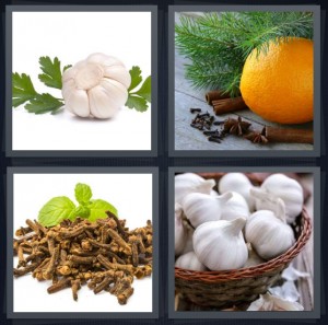 4 Pics 1 Word Answer 6 letters for garlic with parsley, orange with sprigs of spices, spices with leaves, basket of garlic