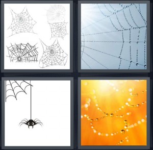4 Pics 1 Word Answer 6 letters for web for insect, arachnid weave home, spider on string, dew glistening in web
