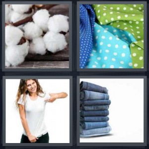 4 Pics 1 Word answers, 4 Pics 1 Word cheats, 4 Pics 1 Word 6 letters plant with fluffy flowers for picking, polka dots on green and blue fabric, woman wearing plain white t-shirt, stack of jeans on white background