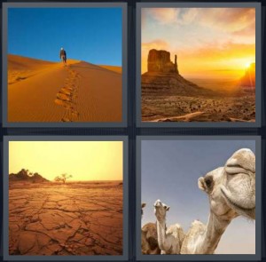 4 Pics 1 Word Answer 6 letters for man walking toward nothing in deep sand, sunset over rock formations like in Utah, cracked dry soil, camels covered in white dust