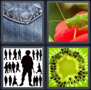 4 Pics 1 Word Answer 6 letters for pocket on back of jeans, close up of grasshopper on red plant, silhouettes of army soldiers military, close up of kiwi