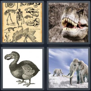 4 Pics 1 Word Answer 7 letters for drawings of ancient skeletons, dinosaur with teeth bared, ancient bird with bill, wooly mammoth in snow with tusks