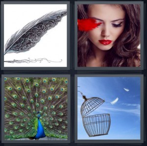 4 Pics 1 Word Answer 7 letters for quill writing pen antique, woman with red accessory, peacock with plume spread, bird flown out of cage