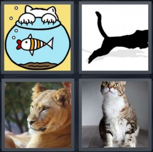 4 Pics 1 Word Answer 6 letters for cartoon of cat at fish bowl, jaguar leaping on white background, lion in jungle, pet cat with green eyes
