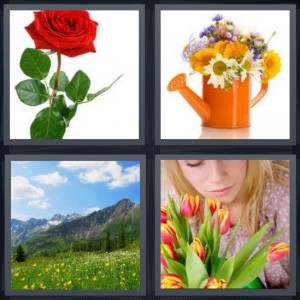 4 Pics 1 Word Answer 6 letters for red rose with green stem and thorns, bouquet in orange watering can, mountain field with yellow buds and blue sky, woman with pink and yellow tulips