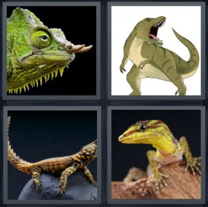 4 Pics 1 Word Answer 6 letters for green iguana face, cartoon of T Rex dinosaur, reptile on rock, small yellow and red gecko on wood