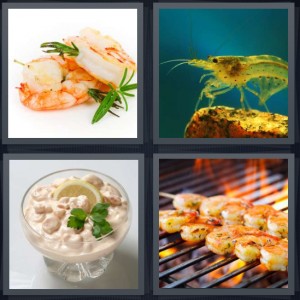 4 Pics 1 Word Answer 6 letters for seafood with garnish, prawn underwater in sea, creamy seafood salad, shellfish on barbecue being grilled