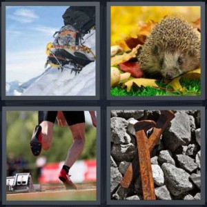 4 Pics 1 Word Answer 6 letters for person climbing snowy mountain with crampons, porcupine in forest, runner on track, rusty nails for making railroad