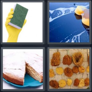 4 Pics 1 Word Answer 6 letters for person scrubbing with rubber glove, washing car with soap, springy one layer cake, natural plants for washing