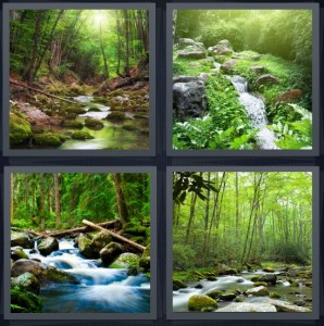 4 Pics 1 Word Answer 6 letters for brook in forest, bubbling waterfall rushing in woods, small river with stones and trees, spring in woods shallow water with trees
