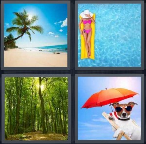 4 Pics 1 Word Answer 6 letters for palm tree on tropical beach with bright sun, woman relaxing on float in pool, sunlight coming through trees in forest, dog with umbrella and sunglasses on beach