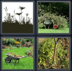 4 Pics 1 Word Answer 5 letters for plants coming from ground, branches taken down, wheelbarrow in yard with flowers, garden with shovel