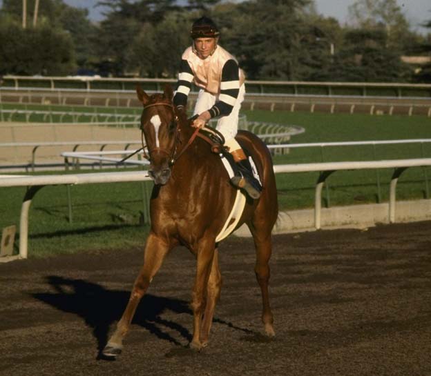 Steve Cauthen of the USA on 1978 Triple Crown winner, Affirmed, at a racecourse.