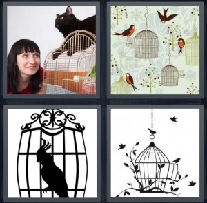 4 Pics 1 Word Answer 8 letters for cat sitting on bird with woman, pet bird, parrot shadow inside cage, cage with shadow of a bird