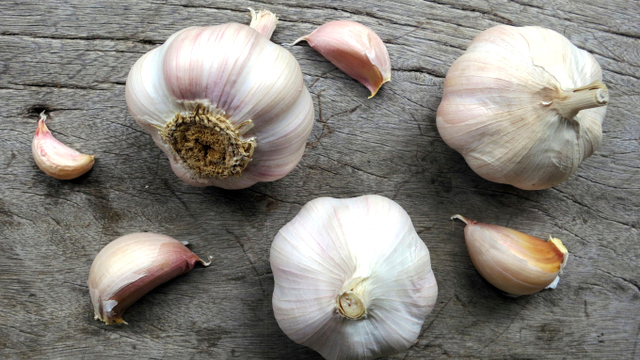 Image (9) garlic.jpg for post 687929