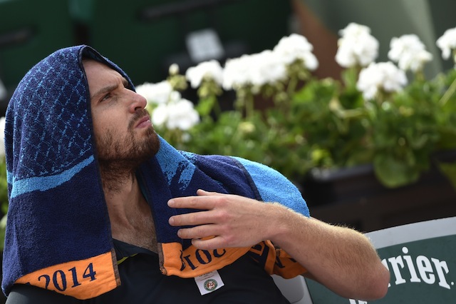 ernests gulbis, french open
