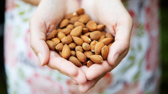 almonds cholesterol diet