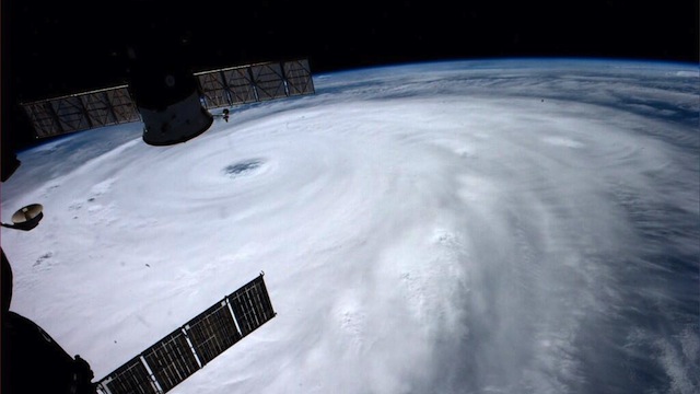 typhoon neoguri from space