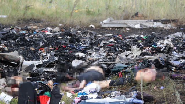 malaysia flight 17 victims, plane shot down in ukraine