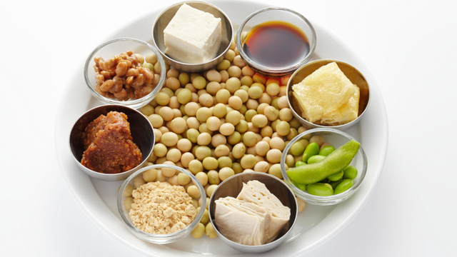 soy protein cholesterol diet