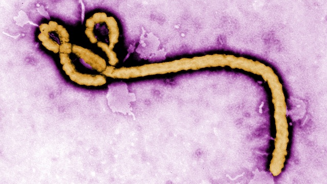 ebola scare in new jersey