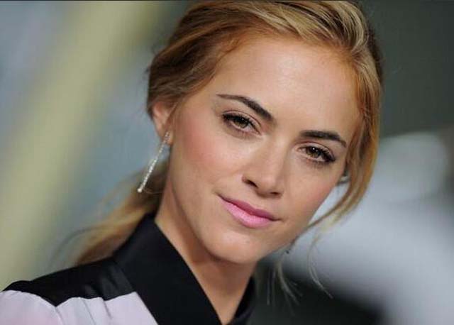 Emily Wickersham, NCIS: 5 Fast Facts You Need to Know