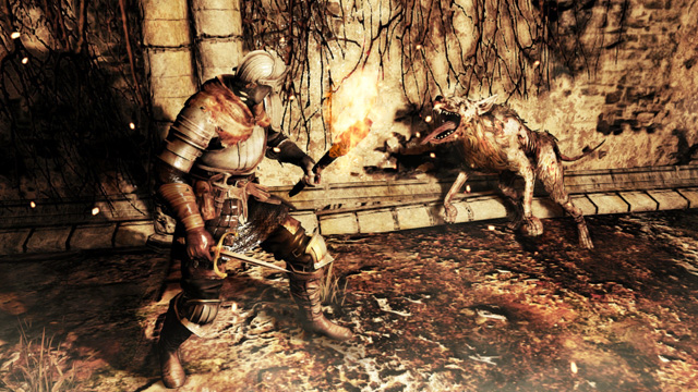 Dark Souls 2 Game Server Down Pc