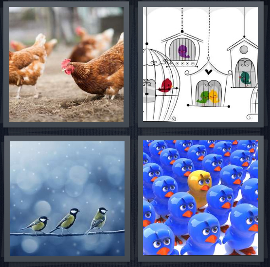 4 pics 1 word 5 letters chicks