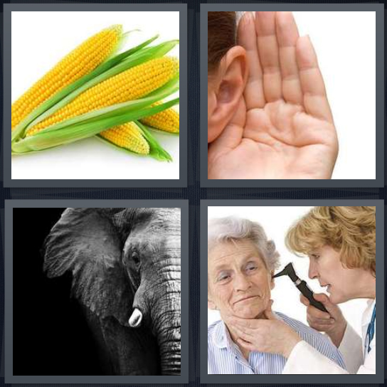 4 pics one word answers 3 letters