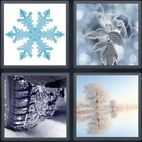 4 pics one word answers flowers snow maple leaf