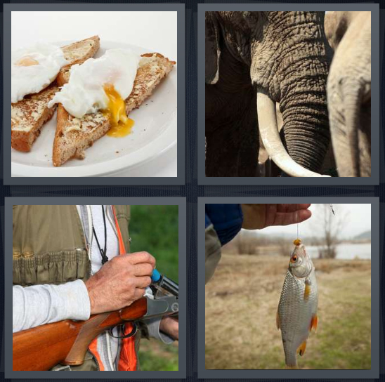 4 pics one word answers 5 letters elephant eggs on toast