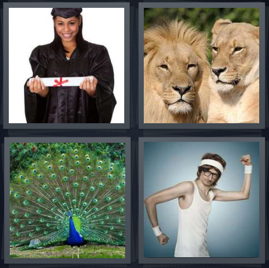 4 pics 1 word 5 letters peacock