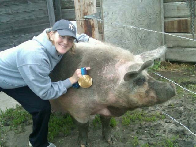 wick-with-a-giant-pig