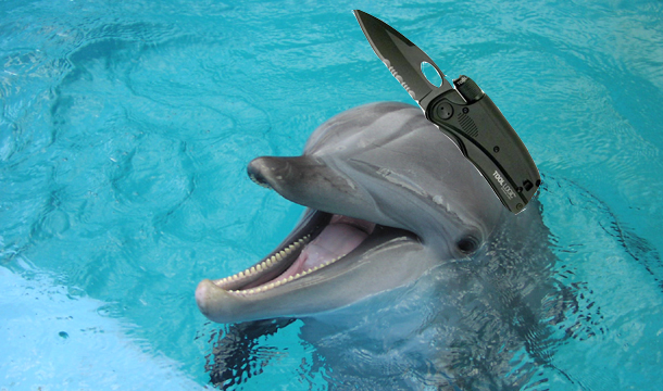 laser dolphin