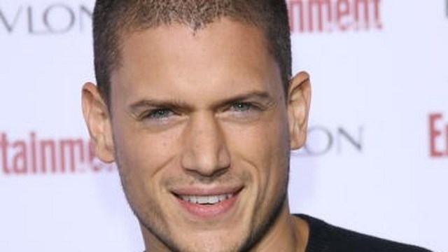 Wentworth Miller Comes Out Gay: 5 Fast Facts You Need to Know | Heavy.com