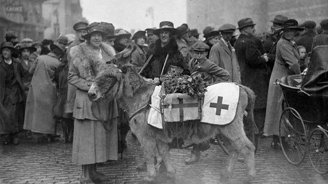 international-red-cross-150-years-photos-through-history-heavy