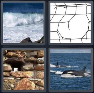 4 Pics 1 Word Answer For Waves Hole Rocks Whale Heavy Com