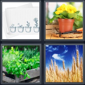4 pics 1 word 5 letters house garden