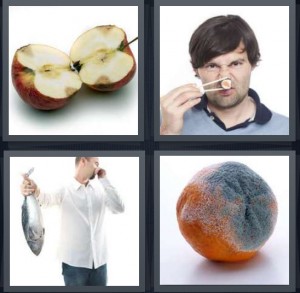 4 Pics 1 Word Answer For Apple Stink Fish Mold Heavy Com