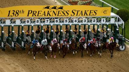 Preakness 2015: Morning Line Odds, Gambling & Wagering Trends