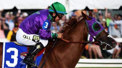Preakness 2015: Time, Channel, Updated Odds & Prediction