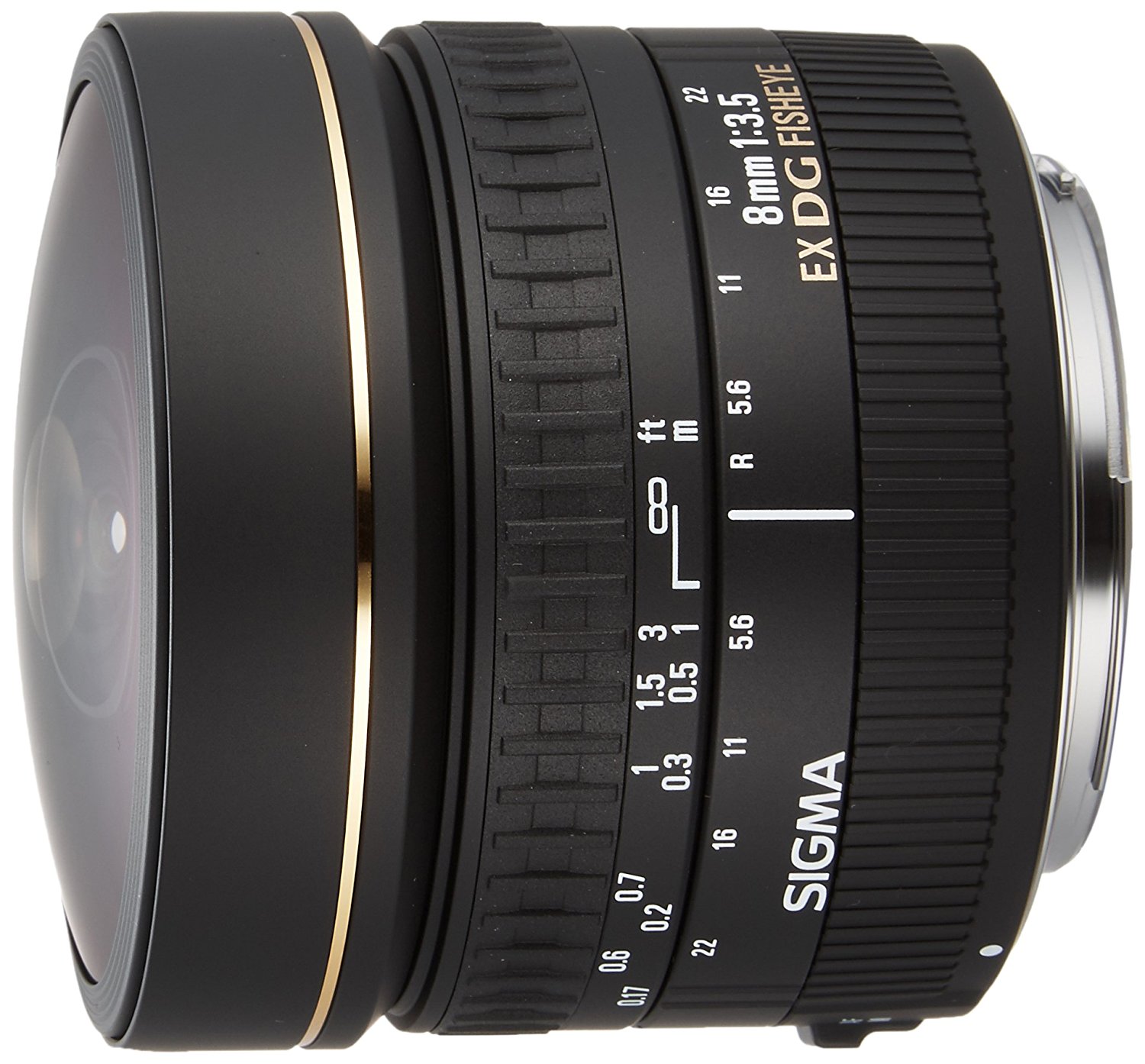 sigma fisheye lens, specialized lens, best dslr lens, wide angle lens