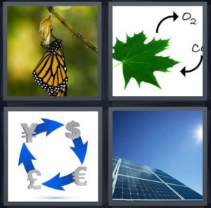 4 pics 1 word 5 letters butterfly