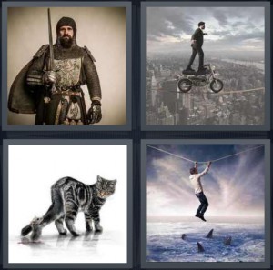 4 pics 1 word 5 letters cat