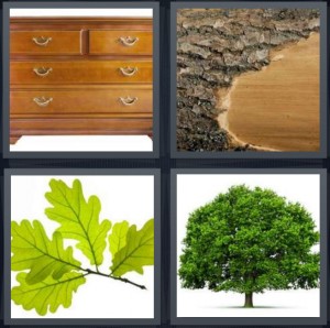 4 Pics 1 Word Answer For Dresser Bark Leaf Tree Heavy 