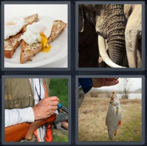 4 images 1 mot 5 lettres elephant arbre baleine iceberg