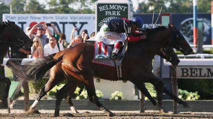 Belmont Stakes 2015: Betting Odds, Gambling & Wagering Trends