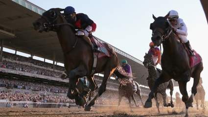 Belmont Stakes 2015: Morning Line Odds