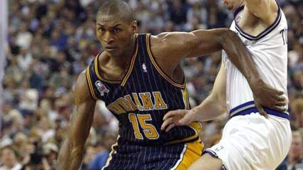 Panda Friend: 5 Fast Facts You Need to Know