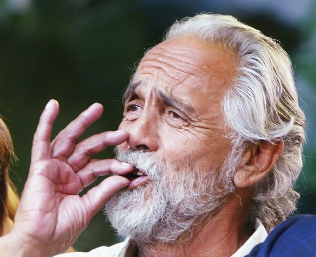 Tommy Chong Dancing With The Stars 5 Fast Facts To Know 